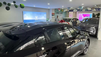 Porcellana Shenzhen Lvhuazhou New Energy Vehicle Development Co., Ltd.