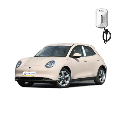 2023 ORA SUV elettrico Auto con condizionatore automatico e sistema di intrattenimento auto