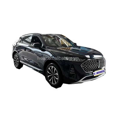 Efficienza mai vista Questo buon Wei Mocha SUV ibrido elettrico con 2915 base ruota
