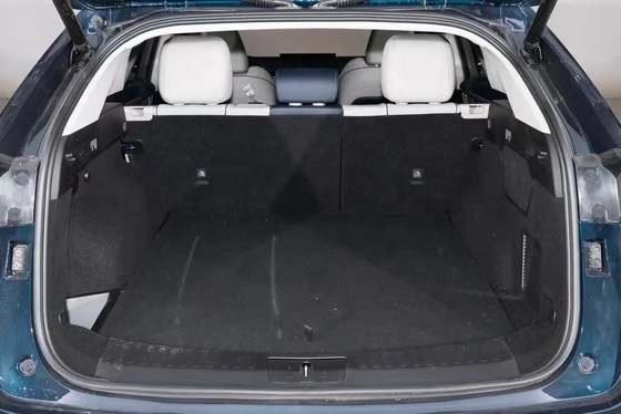 5 posti WEY PHEV SUV 291 Potenza del motore per una guida ottimale