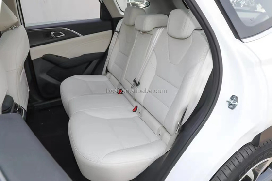 Great Wall Cars Auto Pickup Truck con Roll Bar e posizione di sterzo a sinistra