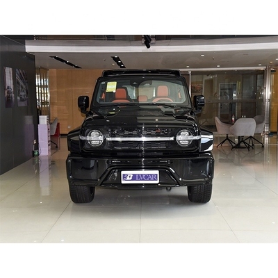 2023 Serbatoio di sterzo sinistro 300 SUV Veicolo a benzina personalizzato da Great Wall per la guida