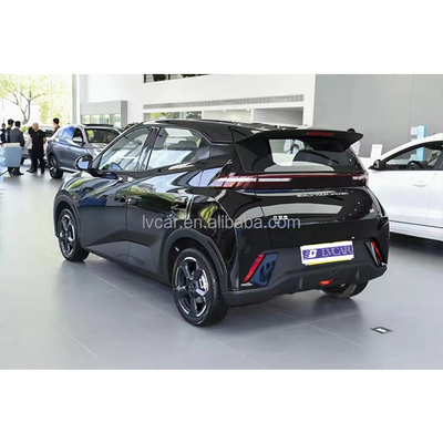 s Most Popular Mini Four Seater NEV 2024 BYD Seagull SUV elettrico Torque massimo 135 Nm
