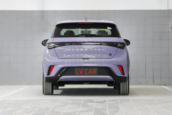 BYD Dolphin Electric Car 420km Range 2023 Adulto Modello Potenza massima 45kW Haitun EV Car