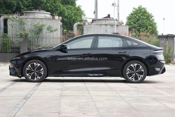 Performance eccezionale con sigillo BYD 100% combustibile elettrico opzionale