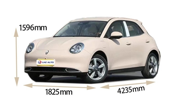 Great Wall ORA Good-cat 401km 501km Auto Energy Electric Car 2022 All'interno del tuo budget