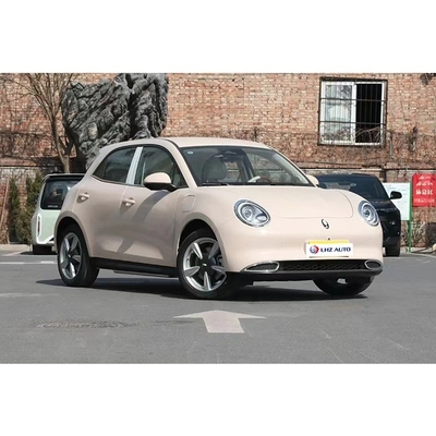 Great Wall ORA Good-cat 401km 501km Auto Energy Electric Car 2022 All'interno del tuo budget